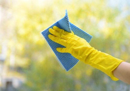 Professional carpet cleaning team at work