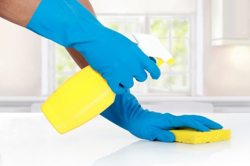 Professional carpet cleaner working on a living room rug