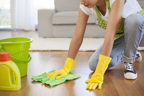 Eco-friendly carpet cleaning solutions