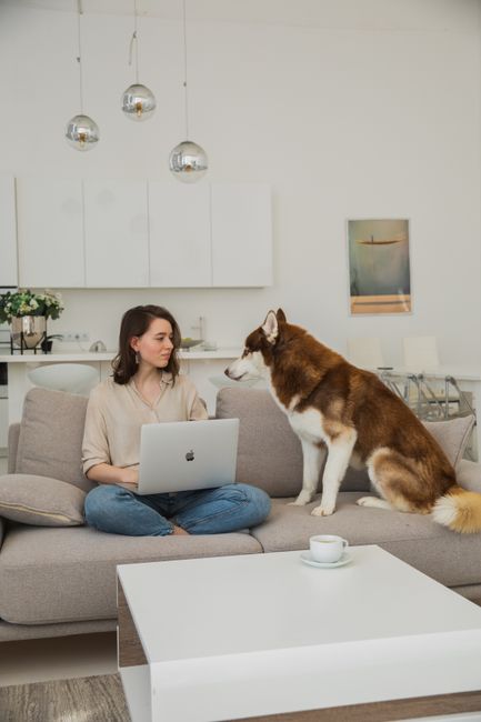 A person in white clothing and dark jeans is engaged in surface cleaning on a striped area rug with shades of beige, brown, and white, using a small brush or cloth to remove pet odour. The rug is laid